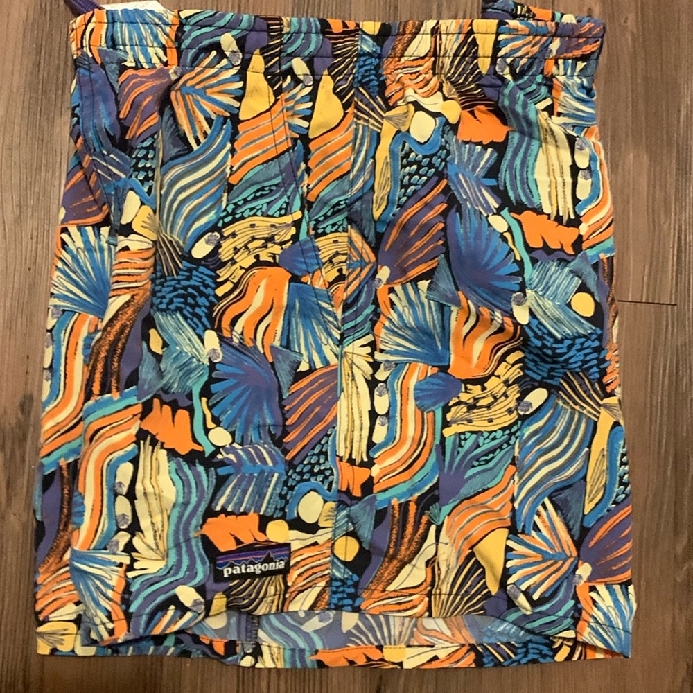 NWT Patagonia Baggie Shorts